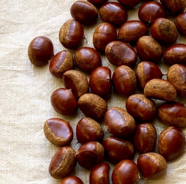 専用他の方発送×28000肉質画　写実画　栗 b9e9dcb05fa51e9081dbe134f21d1d