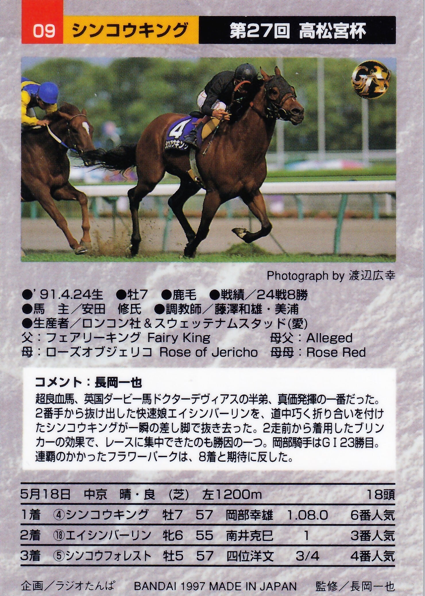 シンコウキング：第27回 高松宮杯「サラブレッドカード 97年上半期版