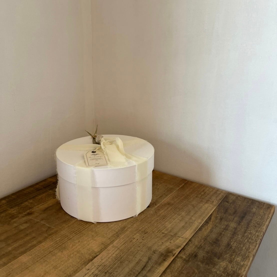 Nice to meet you / L size ( ギフト )