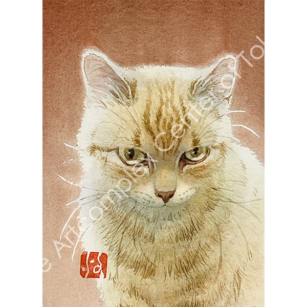 斉藤 緩「きらり」