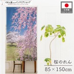 【受注生産】のれん 満開のしだれ桜 幅85×丈150cm 21752