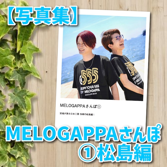 【写真集】MELOGAPPAさんぽ① 宮城が誇る日本三景 快晴の松島編