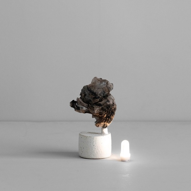 3Framers 水野幸一 流木のオブジェ 照明  MK19