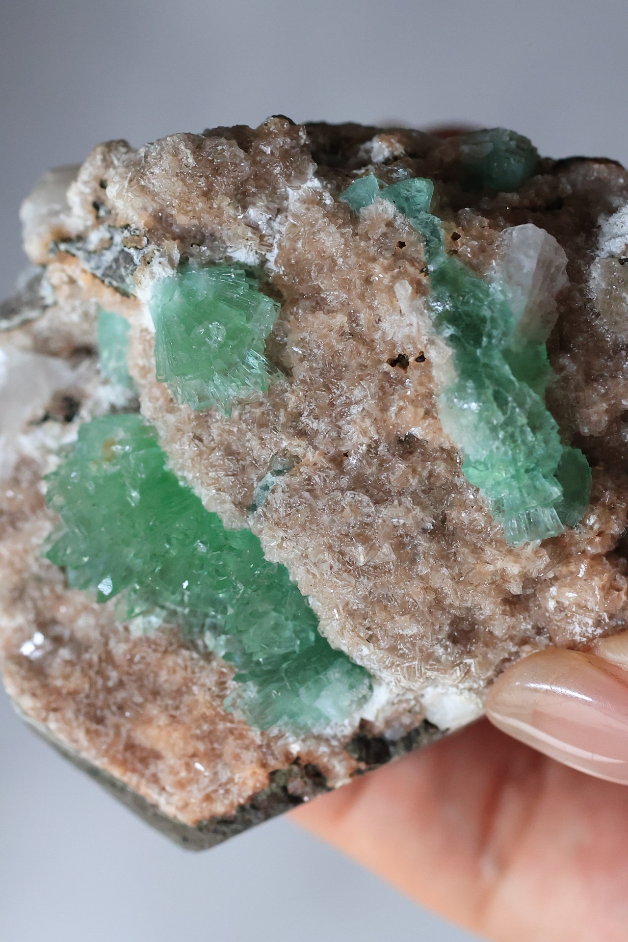 グリーンアポフィライト × スティルバイト 「自由な木々」Green Apophyllite with Stilbite ◇ 天然石・鉱物・パワーストーン・原石 | st00395