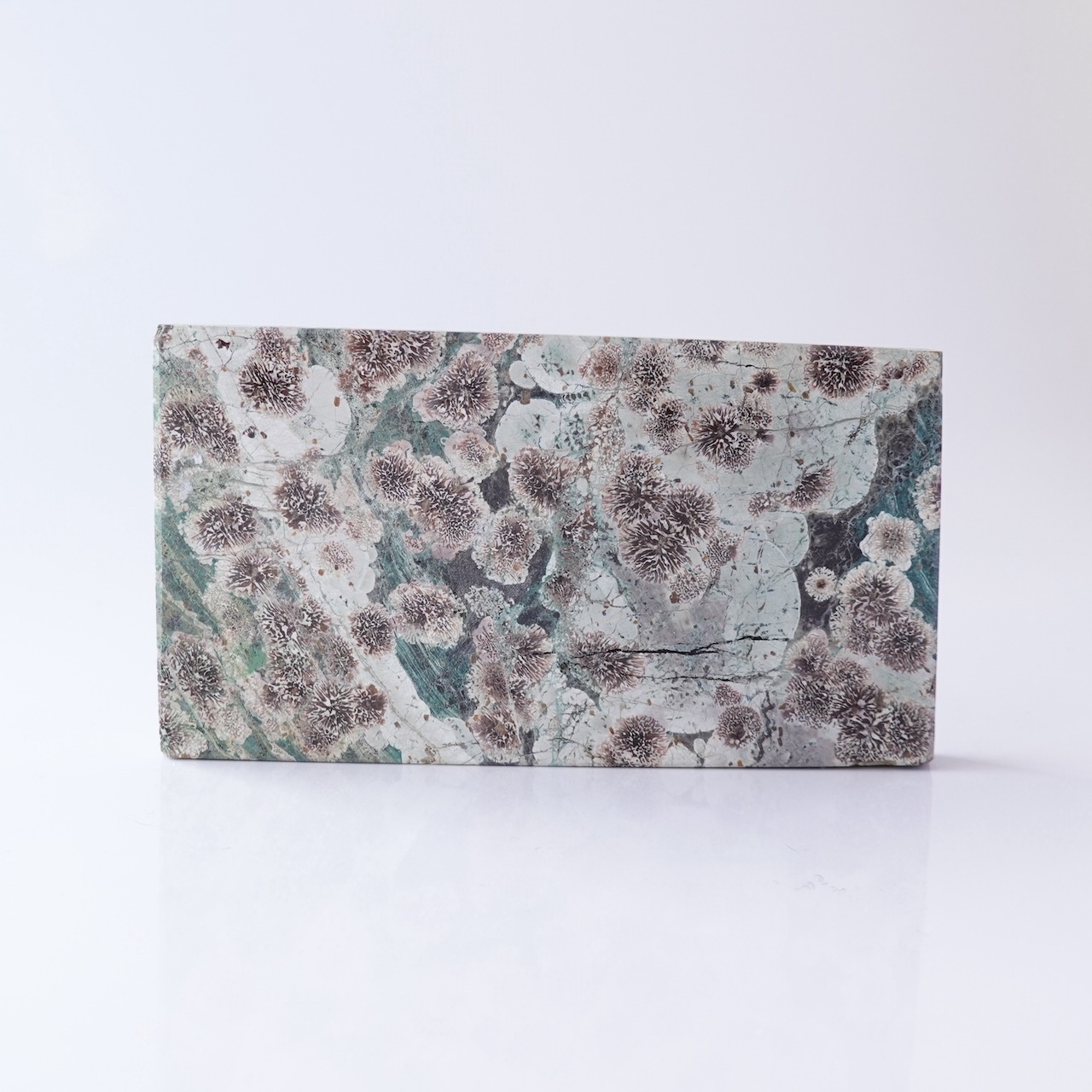 グリーンフラワージャスパー /  スラブ プレート