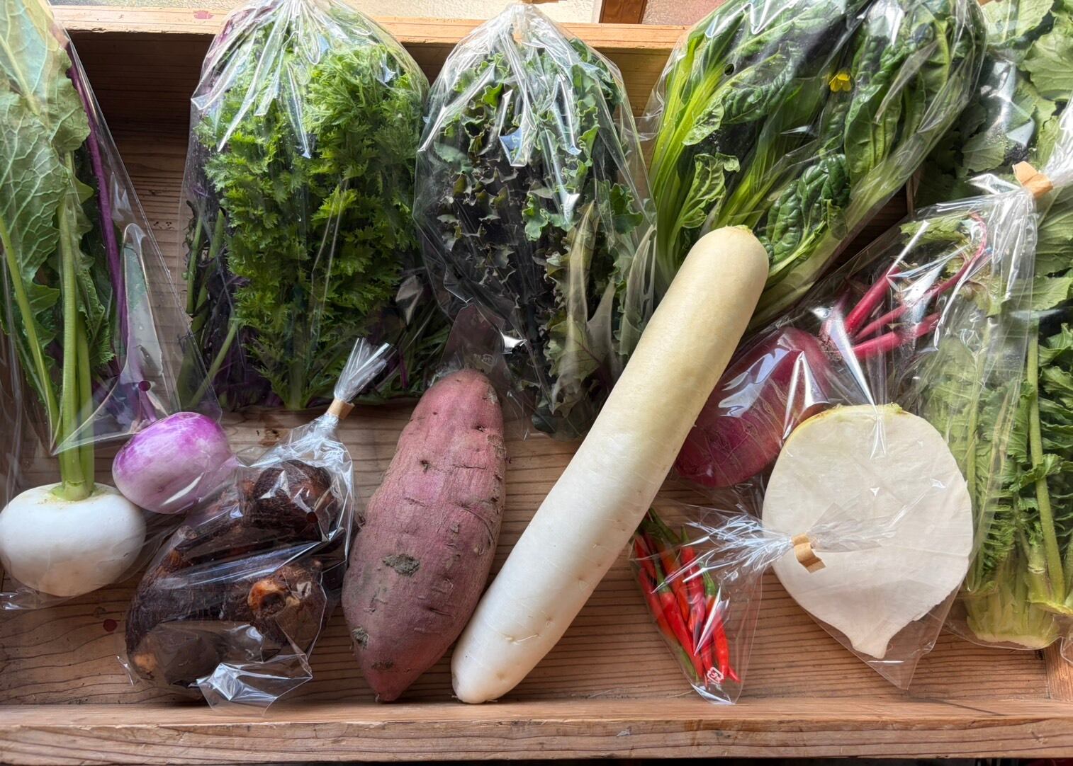 原画　夏野菜3枚セット 冬のお野菜セット：Mサイズ | manafarm