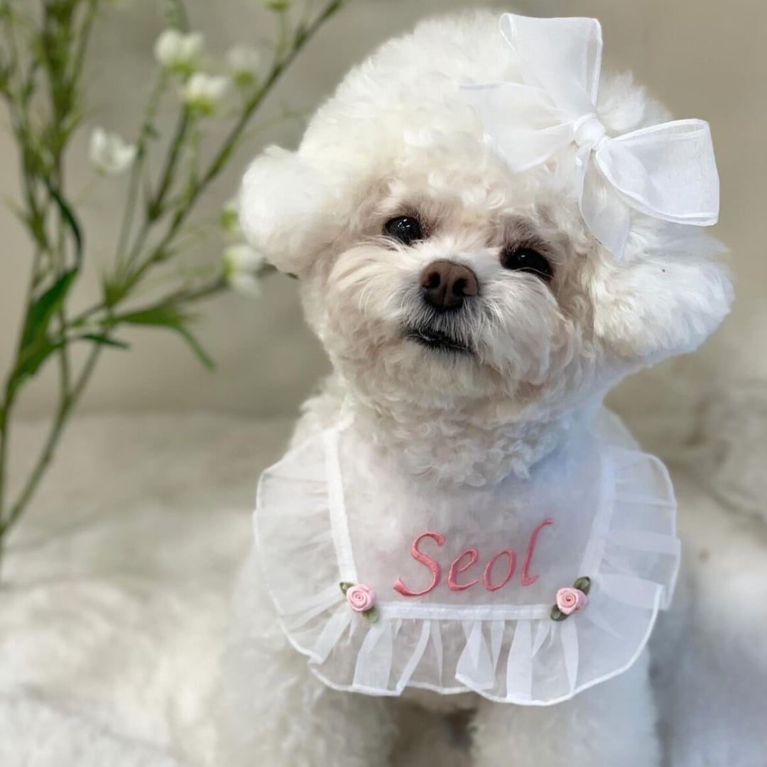 どちらかコメントお願い致しますうさ耳リバティ大きめファーパッチンピン