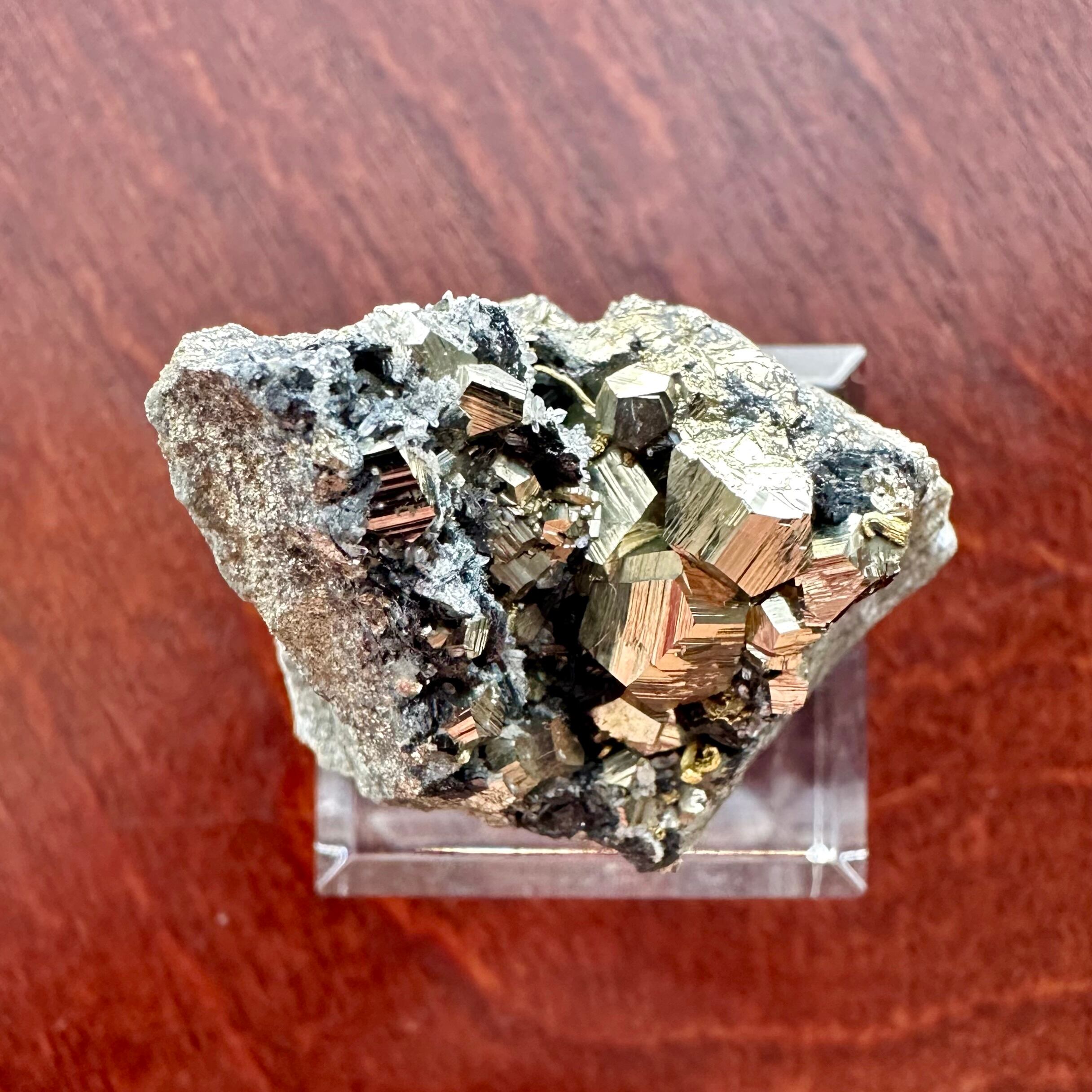 在庫処分❣️ゴールド✖︎ライトカーキ❣️ゴールド使いが美しい❣️9T～1３T ゴールド / パイライト【Gold with Pyrite】ペルー産 | PEANUTS