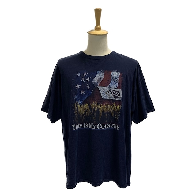 7196 フルーツオブザルーム Tシャツ 星条旗 3XL