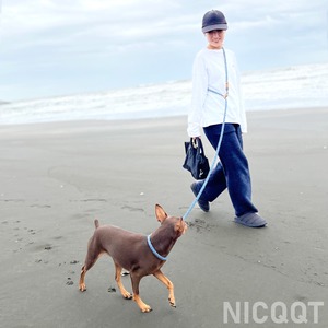 【NICQQT デニムドッグリード】首輪 ワンちゃん デニムで編んだリード 丸洗い可能 日本製