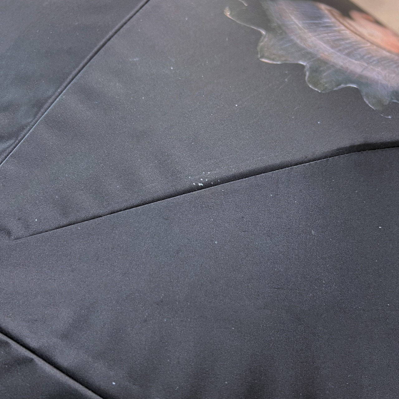 Ombre パラソル / No.116