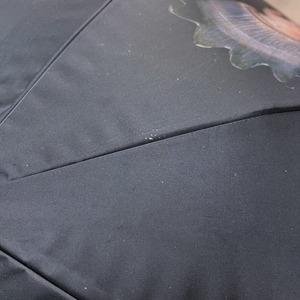 Ombre パラソル / No.116