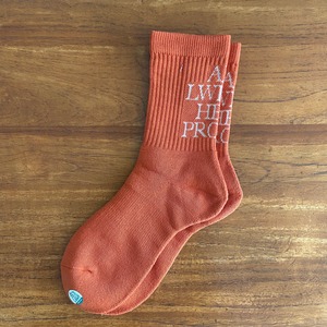 MY LOADS ARE LIGHT × ALWAYTH / TEXT A.W.P / ORANGE