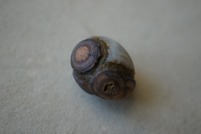 ゴビアゲート Gobi Agate 1685