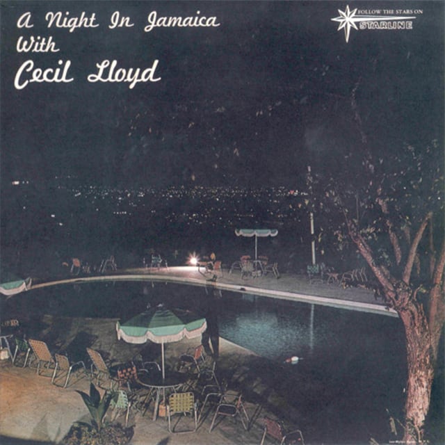 【残り1点／LP】Cecil Lloyd - A Night In Jamaica With Cecil Lloyd