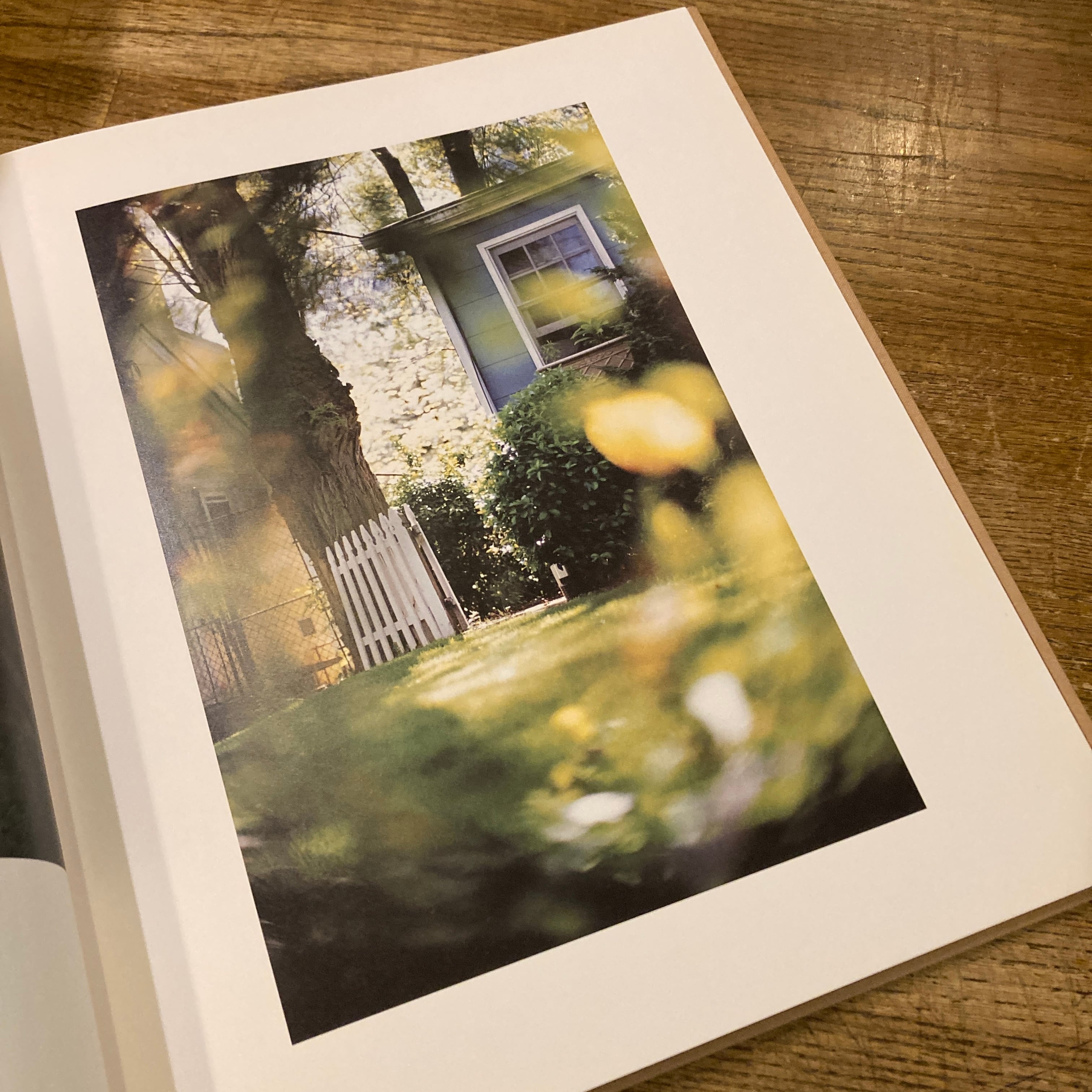 Between Maple and Chestnut / Terri Weifenbach テリ・ワイフェン