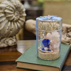 海のイメージ　白の砂浜と貝殻の青バラのオブジェ　クリアガラス使用（ふた付）