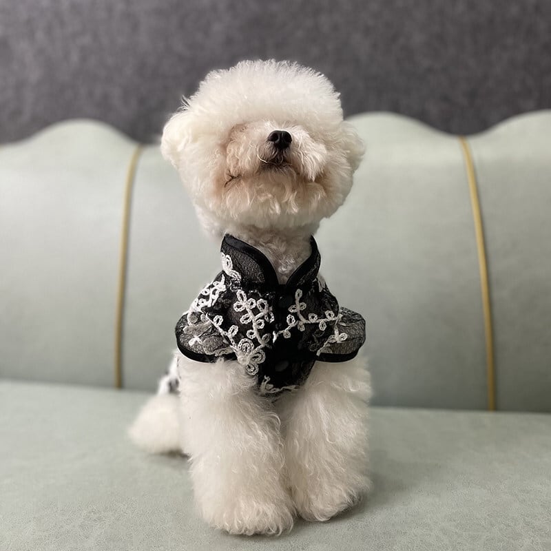 ブラックチャイナプリンス 00957