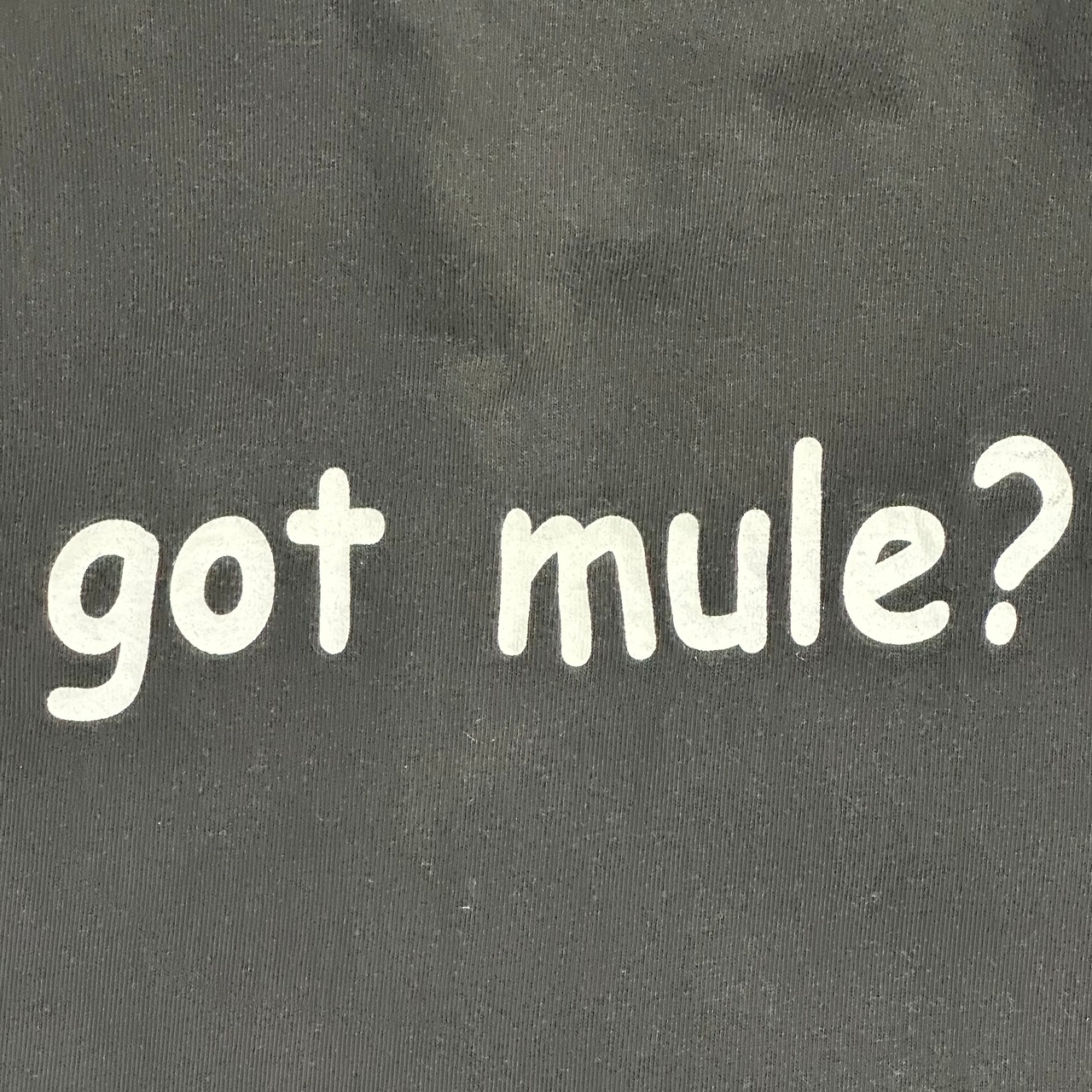 90s〜00s GOT MULE?
