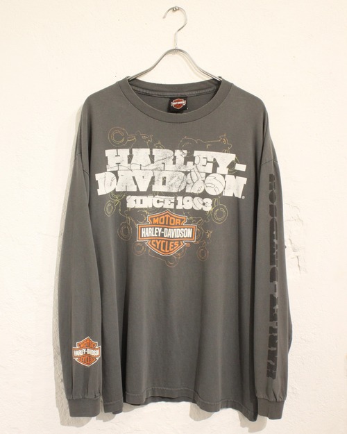 HARLEY-DAVIDSON L/S Print Tee