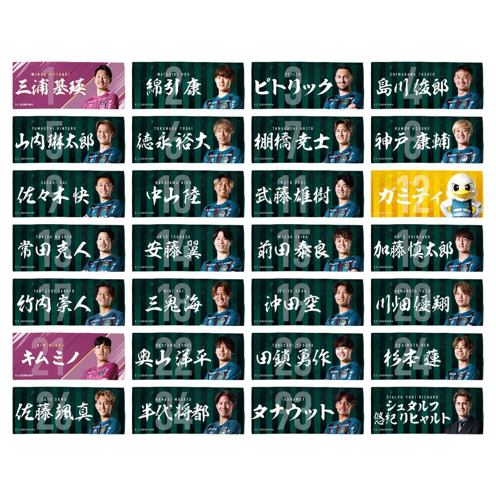 非売品　MVS 表示パネルのみ ファイターズ96など 13枚セット ba1ed0bbad2baad124033caab1ea08
