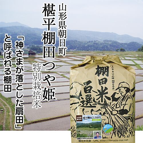 令和5年産】山形県　5kg）　「椹平(くぬぎだいら)つや姫」【特別栽培米】（白米／玄米　成川米穀店