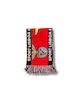Benfica Soccer Scarf