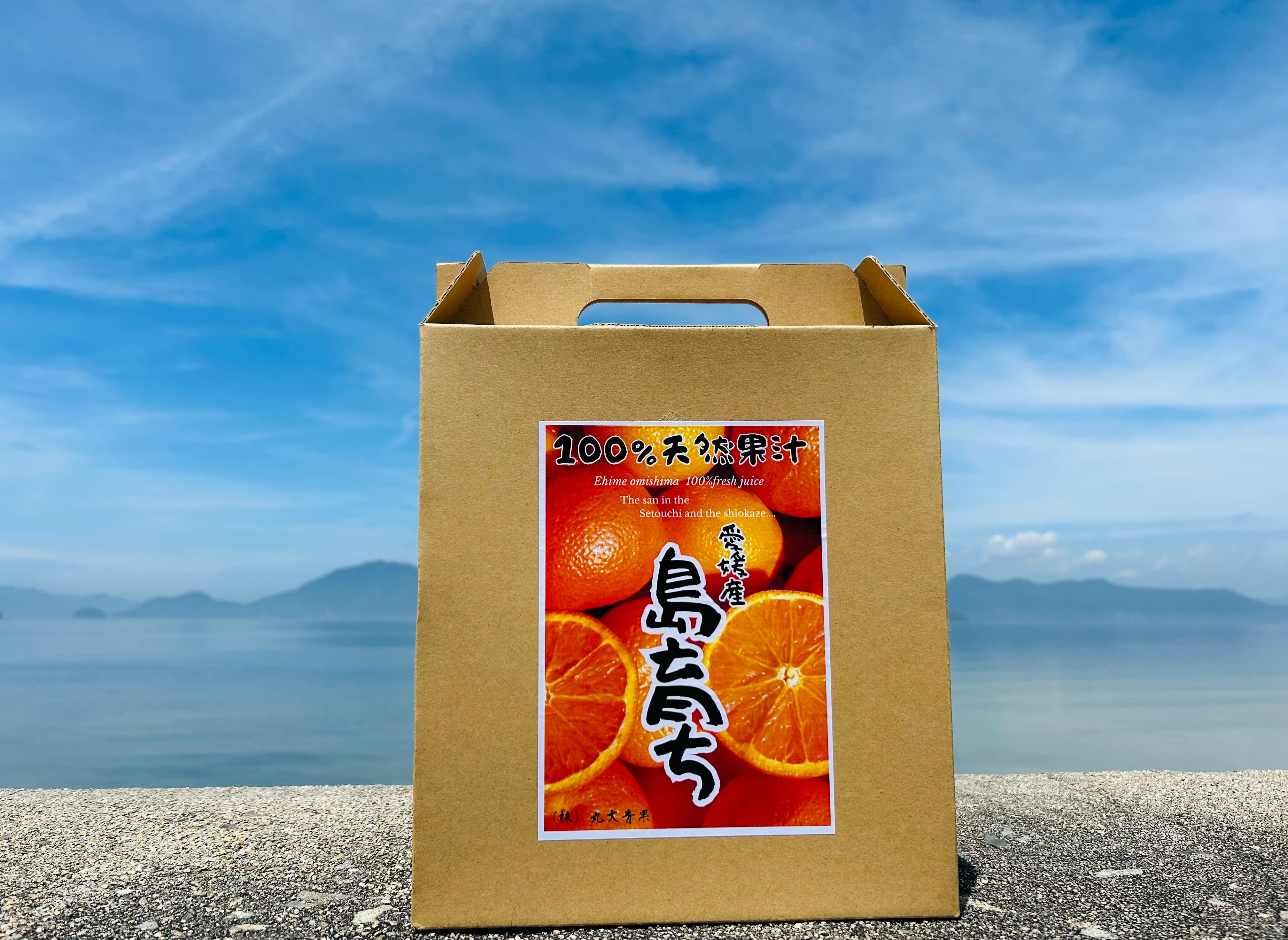 島育ちの八朔ジュース 720ml×3本入 | 株式会社丸大青果