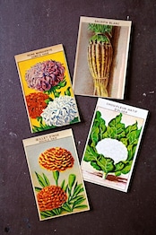 20s フランス 4set 膨満な花々と野菜たち 種子袋用ラベルb アンティーク