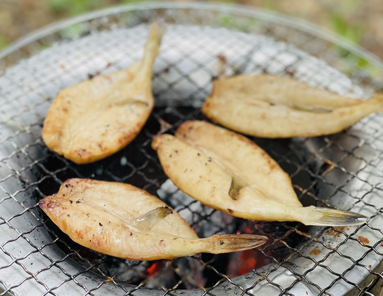 ふぐみりん・画像3