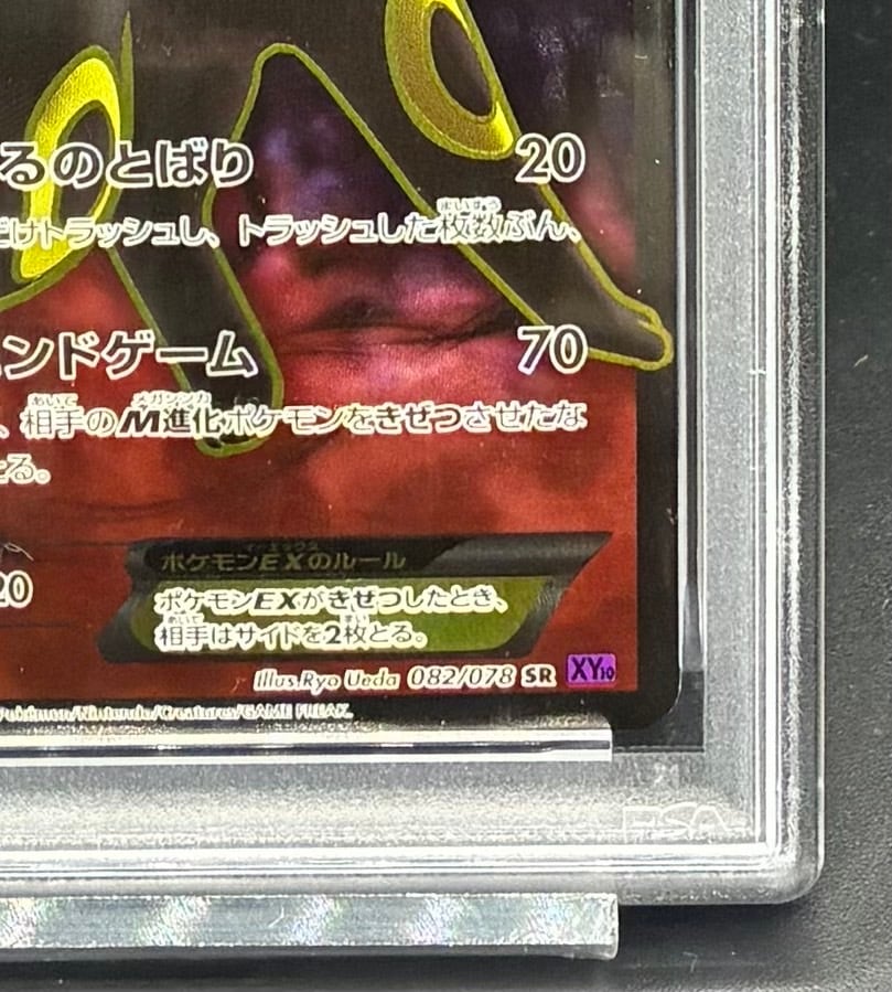川崎店: ブラッキーEX【SR】{082/078} [XY] | ワンピース・ポケモン