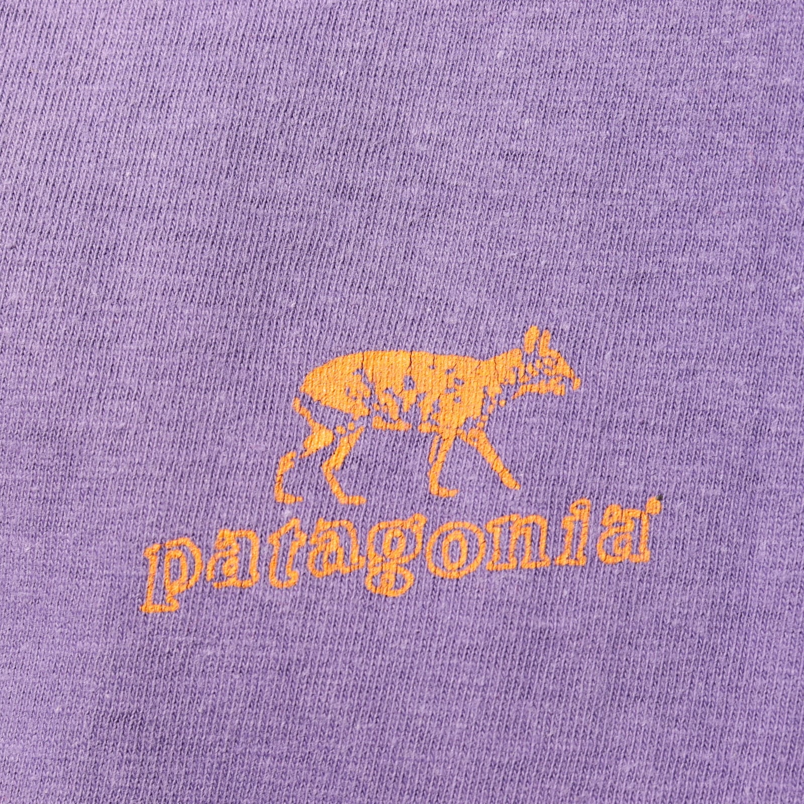 美品 M 絶滅危惧種 Patagonia 紫 USA パタゴニア Tシャツ 美品 M 絶滅危惧種 Patagonia 紫 USA パタゴニア Tシャツ
