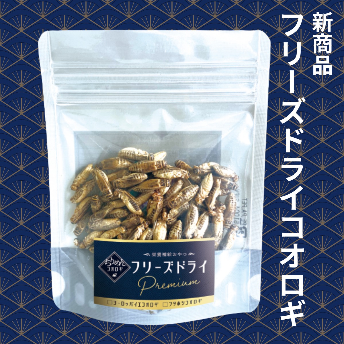 フリーズドライちりめんコオロギ 10g（フタホシ・イエコ） | Acricketi