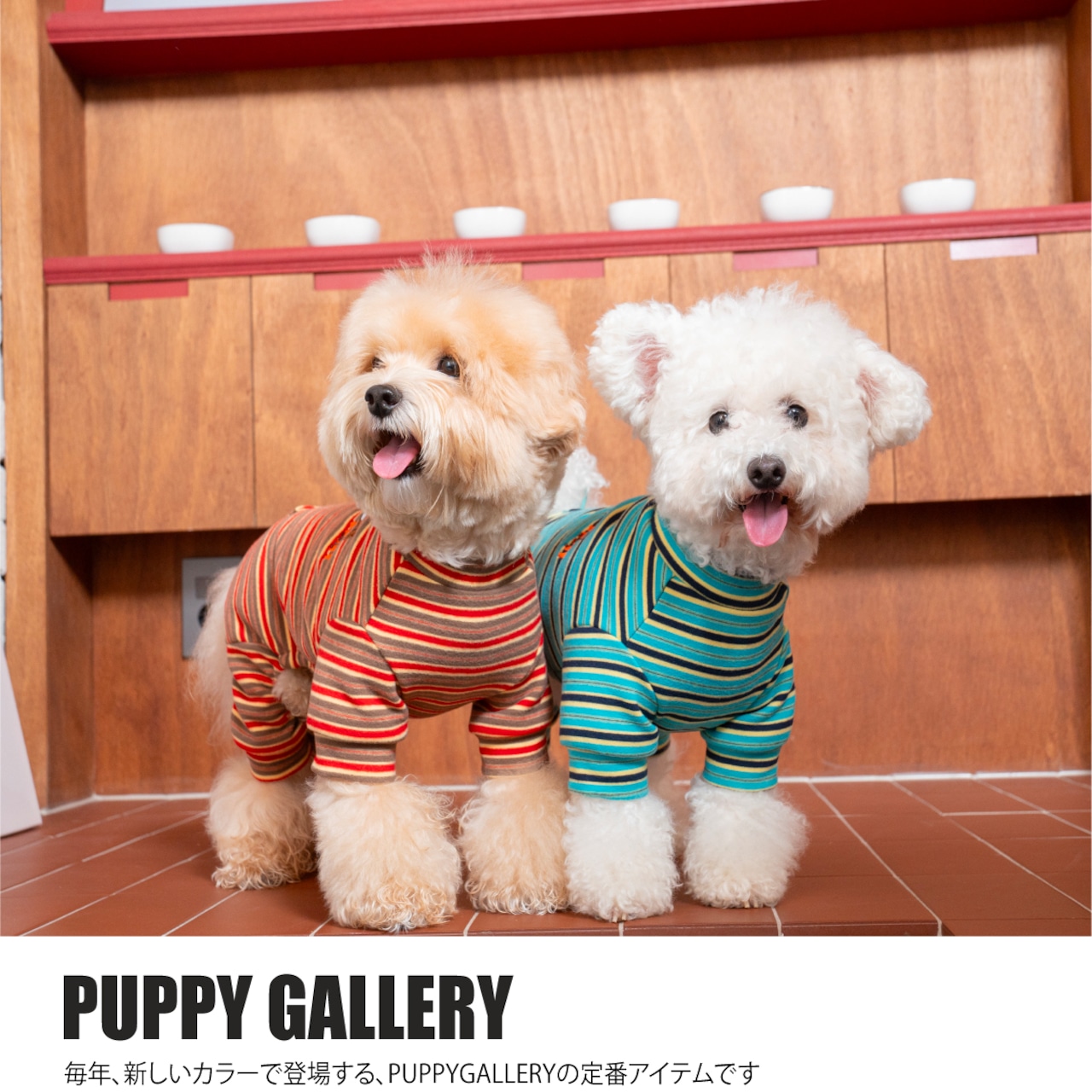 【puppygallery公式】 Homeground all-in-one M-XL