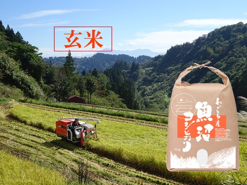 令和５年産米 魚沼コシヒカリ【玄米】特別栽培米 5kg