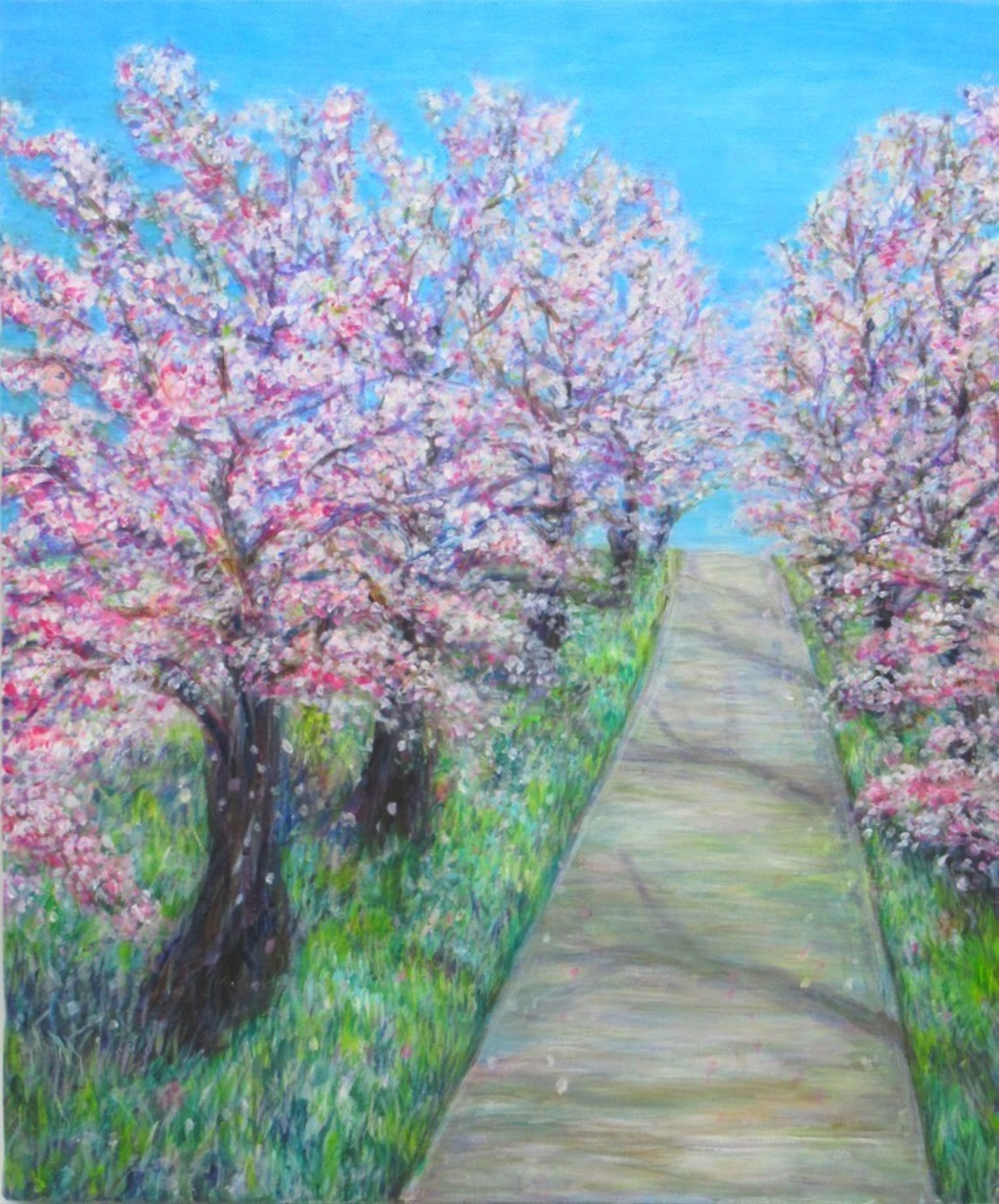 絵画 『桜道』 アクリル画 8号 桜 SAKURA 絵 春 花 自然 F8 KIYOKAWA 