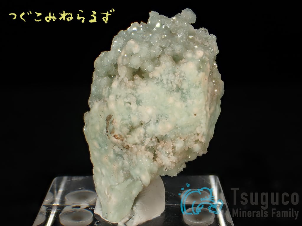 ボラサイト 方硼石 Boracite イギリス TM-0029