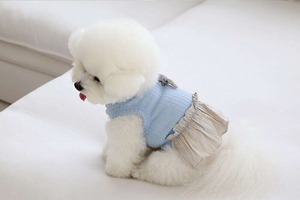 即納 【near by us】Ribbon knit top ベージュブルー 予約販売