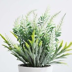 人工観葉植物 コンテナ付き 卓上装飾  フェイクグリーン リビングルーム ダイニングテーブル 室内 部屋 飾り