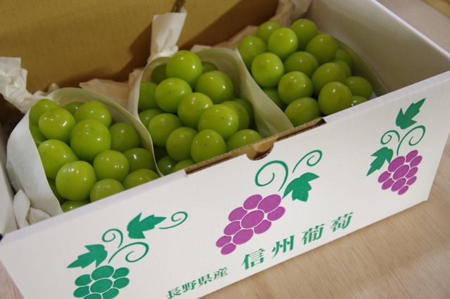 シャインマスカット ２～４房（1．5ｋｇ以上）