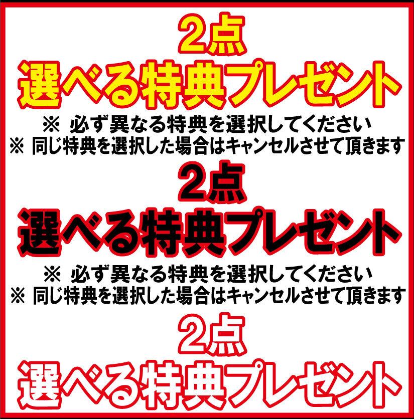 早期予約 26-27モデル GENTEMSTICK ゲンテンスティック TITTI 118