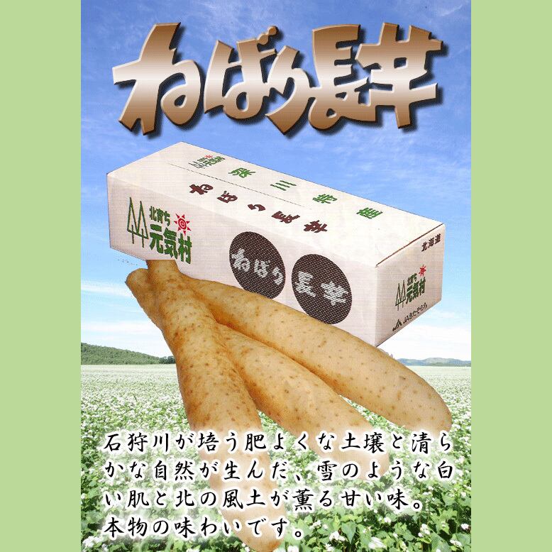 とろろパック（北海道深川産長いも使用）【冷蔵便】逸品 | 幌加内そば