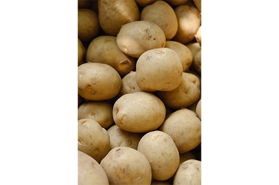 【雲仙の味わい】デジマ・500g