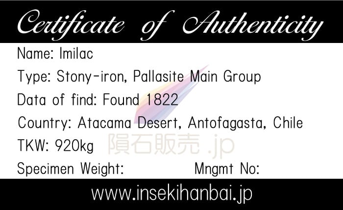 イミラック隕石 IMCA証明書付 Imilac(イミラック) パラサイト隕石 A547 7.50g - 鉱物標本