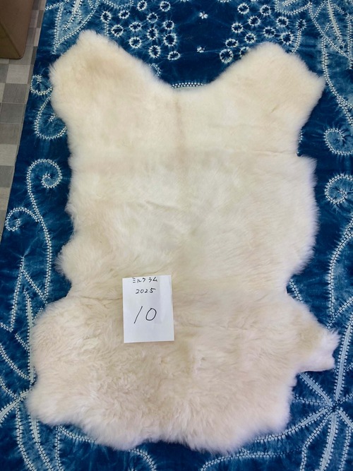 ミルクラムムートン_2025_No.10（2025_白）