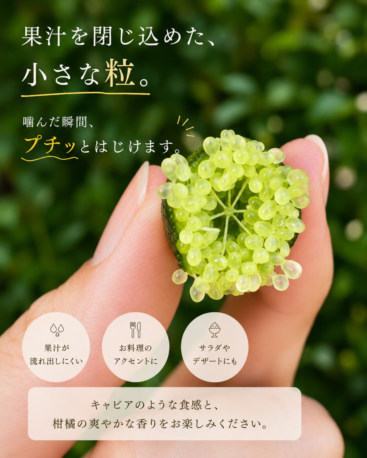 【旬の2〜3品種を食べ比べ】福島県産フィンガーライム 50g