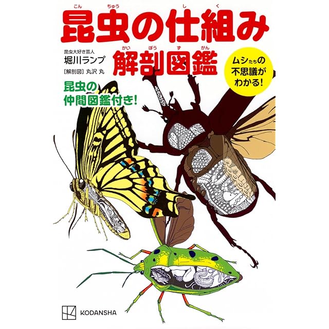 危険生物 小学館 生き物 図鑑 昆虫 小学館の図鑑NEO 危険生物