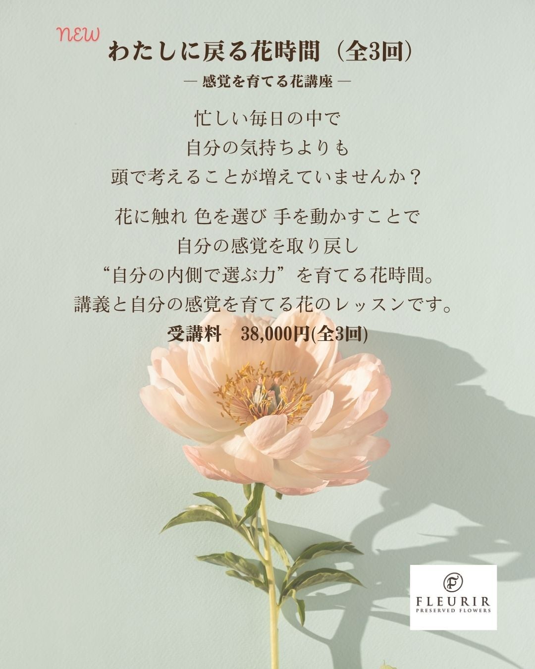 わたしに戻る花時間(全3回)