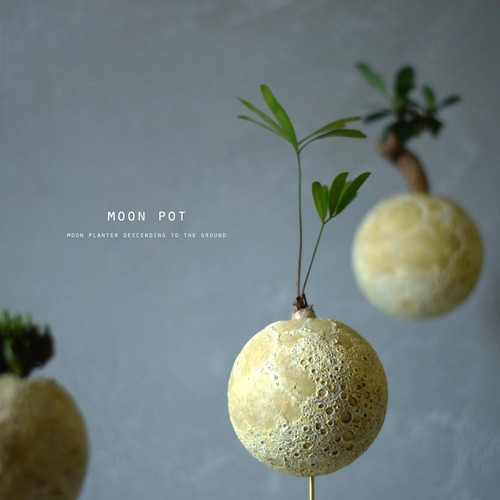 moon pot (プランター）