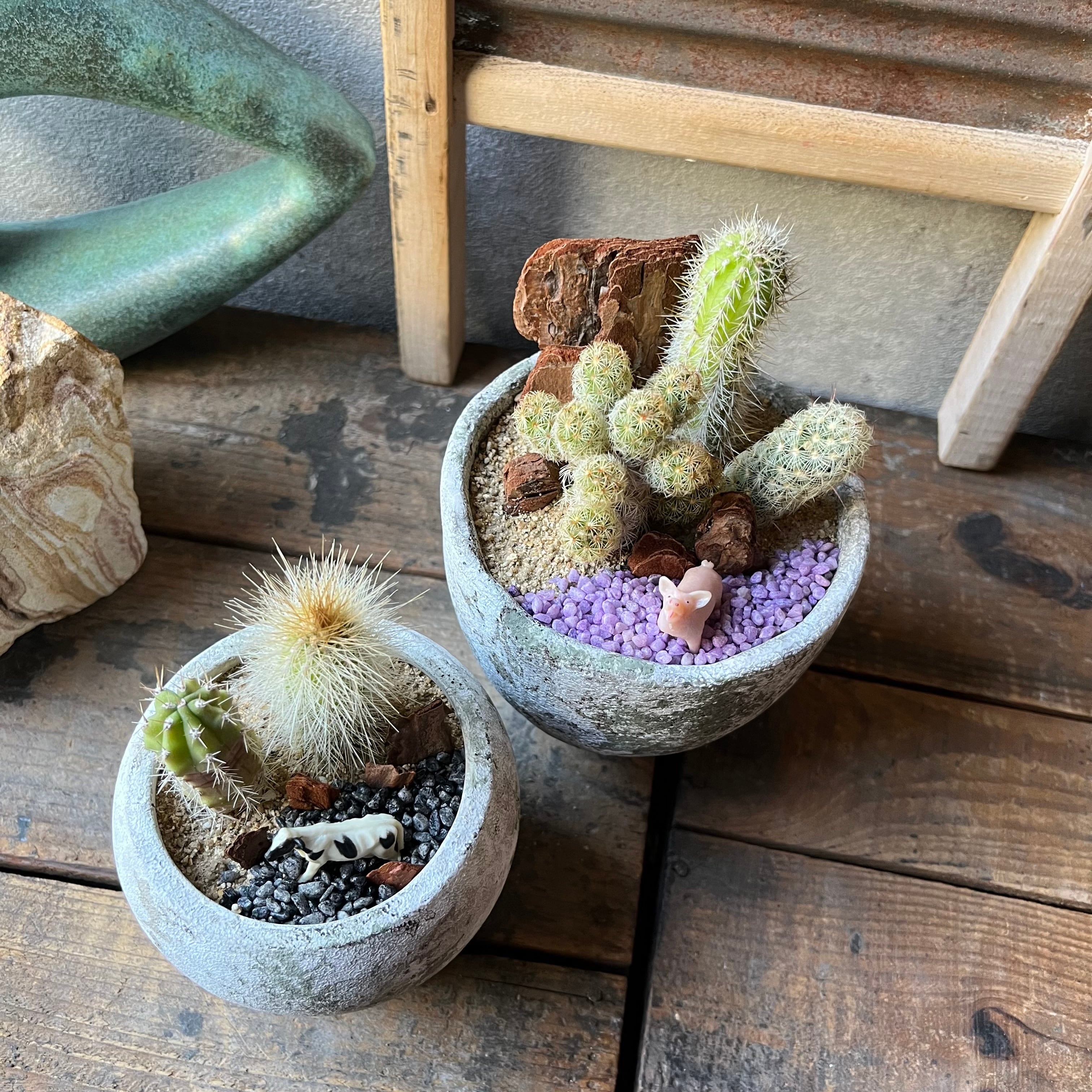 MINI 2鉢SET Pig&Cow | SABOTEN MISSILE